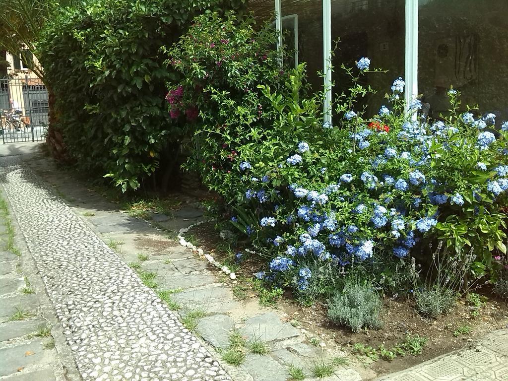Il Nido Sul Mare A Forte Dei Marmi Quarto foto
